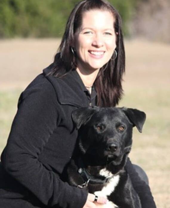 dfw dog training rockwall dog trainers royce city canine trainer