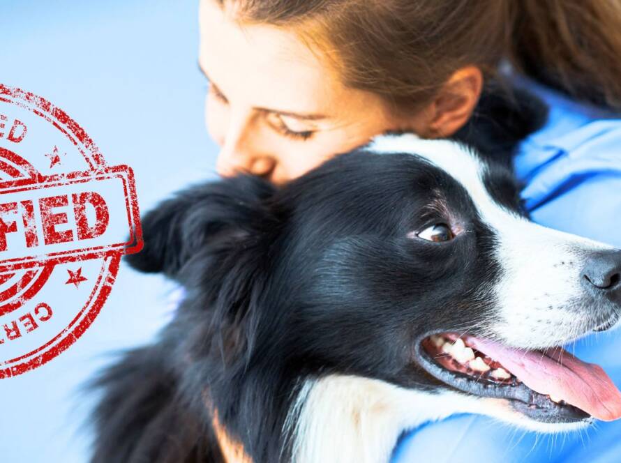 why choose certified dog trainers in DFW Rockwall, TX