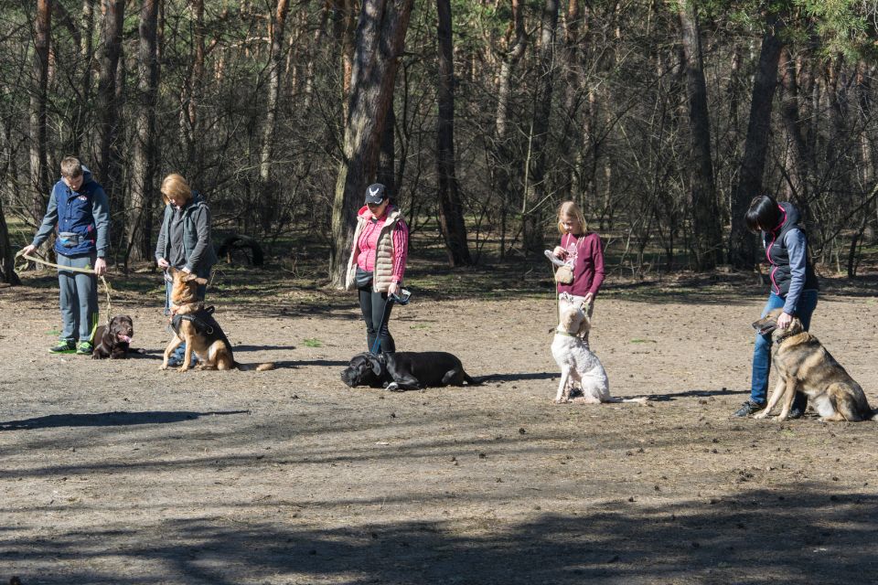 dallas group dog training classes dfw dog trainers rockwall canine training plano service dogs