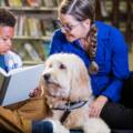 Therapy Dog Training in Dallas–Fort Worth: What It Is, How It’s Different, and How to Get Started