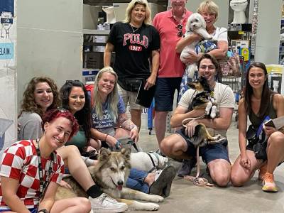 group dog training services in DFW