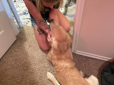 dog training in home private sessions dfw metroplex dallas